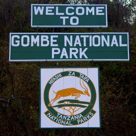 Gombe National Park