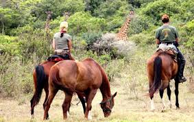 Horseback Safari