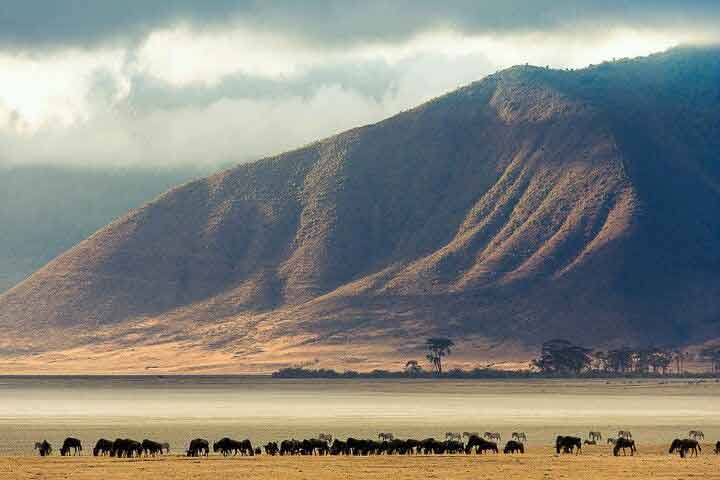 Ngorongoro Crater Package