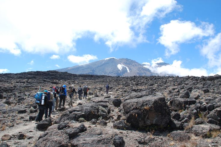 Shira Route Kilimanjaro