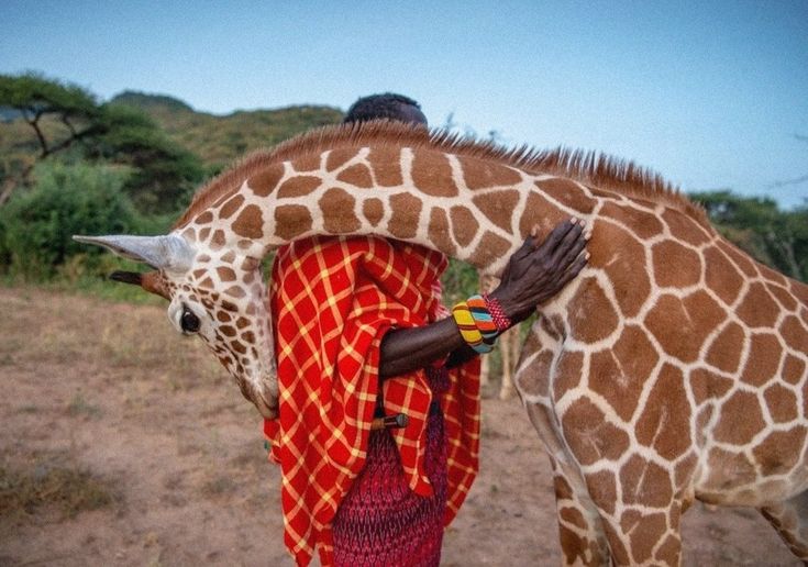 5 Days Safari Tanzania